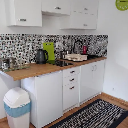 Lesny 팜스테이 *