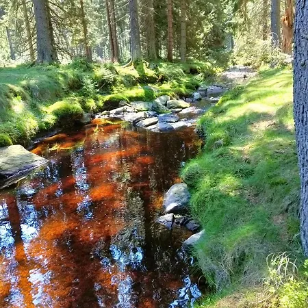 Lesny 팜스테이 *