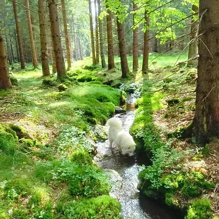 Lesny Lantgård Bystrzyca Kłodzka