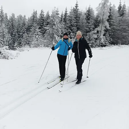 Lantgård Lesny