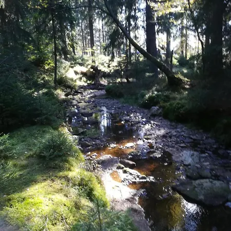 Séjour à la ferme Lesny Bystrzyca Kłodzka