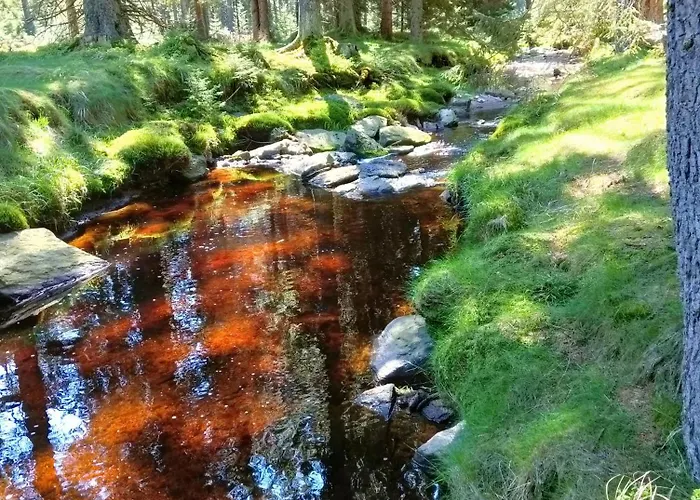 Lesny Κατάλυμα σε φάρμα *