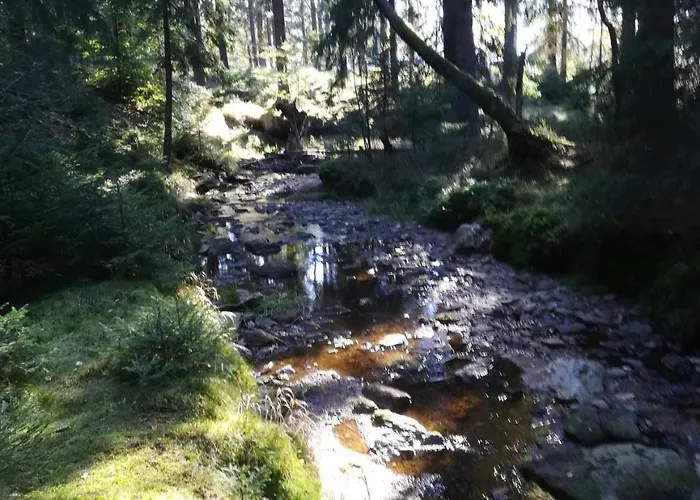 Κατάλυμα σε φάρμα Lesny Bystrzyca Kłodzka
