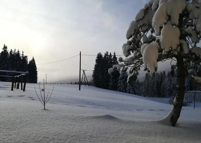 Κατάλυμα σε φάρμα Lesny Bystrzyca Kłodzka