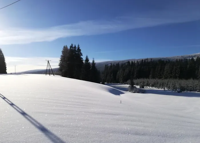 Lesny Κατάλυμα σε φάρμα